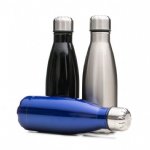 Garrafa Inox 550 ml