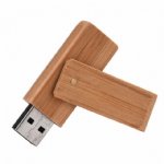 PEN DRIVE ECOLÓGICO